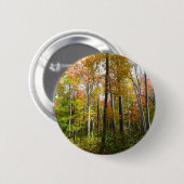 秋の森I秋の風景写真 缶バッジ (正面&裏面)
