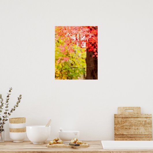 秋の楓日本のの鮮やかな色 ポスター (キッチン)