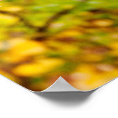 秋の楓日本のの鮮やかな色 ポスター (角)