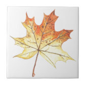 秋の楓 タイル (正面)