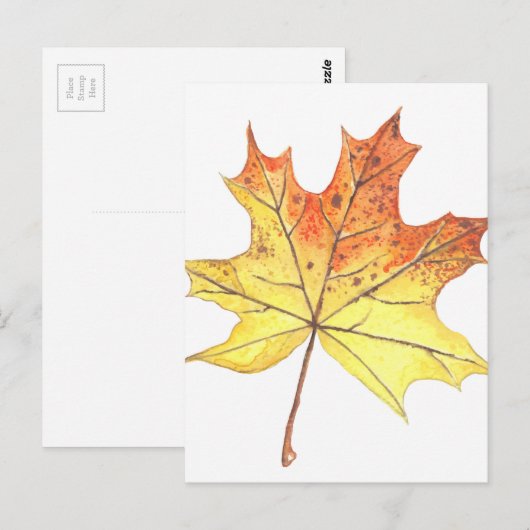 秋の楓 ポストカード (正面/裏面)