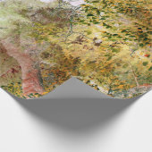 秋の樫の木…… ラッピングペーパー (角)