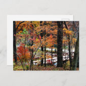 秋の橋と秋ツリー葉/風光明媚 ポストカード (正面/裏面)
