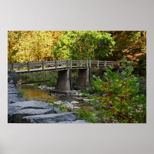 秋の橋の水景フォトポスター ポスター (正面)