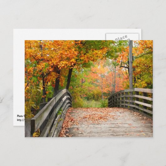 秋の橋 ポストカード (正面/裏面)