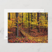 秋の歩道橋、ポストカード ポストカード (正面/裏面)