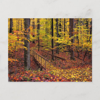 秋の歩道橋、ポストカード ポストカード