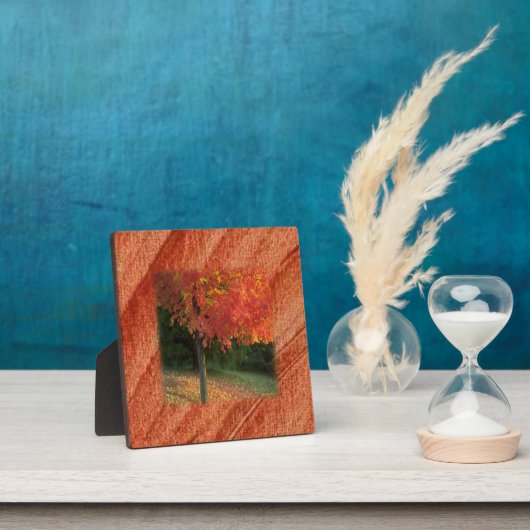 秋の歯垢 フォトプラーク (インサイチュ)