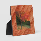 秋の歯垢 フォトプラーク (正面)