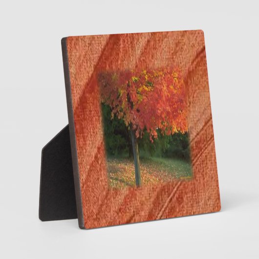 秋の歯垢 フォトプラーク (正面)