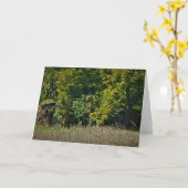 「秋の毛布」イースターカード カード (黄色い花)