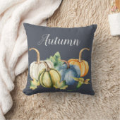 秋の水の色かぼちゃブルー クッション (ブランケット)