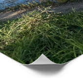 秋の水景リフレクションポスター ポスター (角)