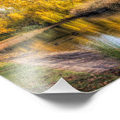 秋の池のアヒル フォトプリント            (角)