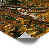 秋の池、風景、上下逆 ポスター (角)