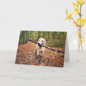 秋の泥犬自然 カード (黄色い花)