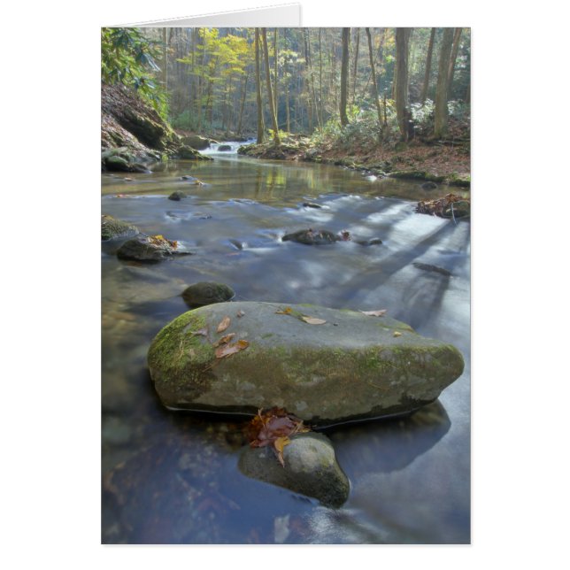 秋の流れ (正面)