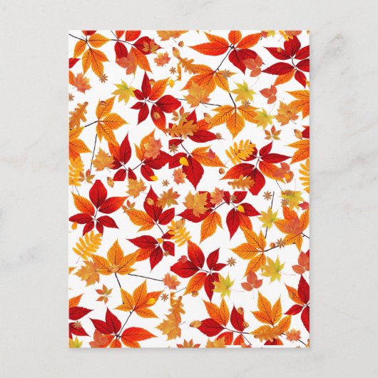 秋の深夜 ポストカード (正面)