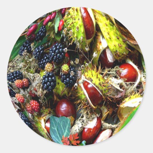 秋の満点~エンベロープシーラー/シール ラウンドシール (正面)