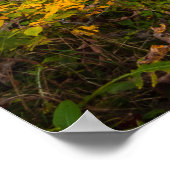 秋の滝の風景のカニシュカビストリツァSlo ポスター (角)