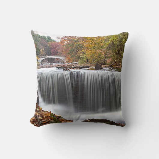 秋の滝アットバンデルビルド クッション (正面)