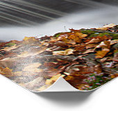 秋の滝アットバンデルビルド フォトプリント            (角)