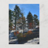 秋の滝ハイ秋写真NC ポストカード (正面)