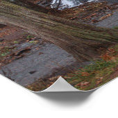 秋の滝ポスター ポスター (角)