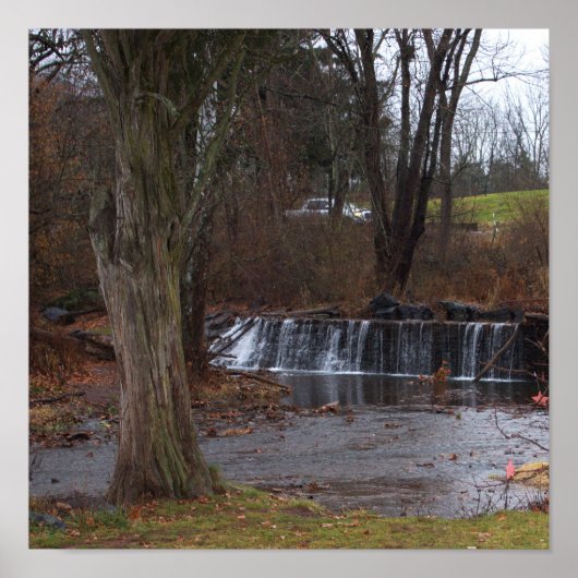 秋の滝ポスター ポスター (正面)