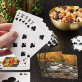 秋の滝 トランプ (インサイチュ)