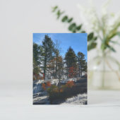 秋の滝　ハイ・フォールズ写真 NC ポストカード (スタンド正面)