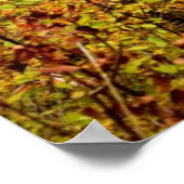 秋の滝 ポスター (角)