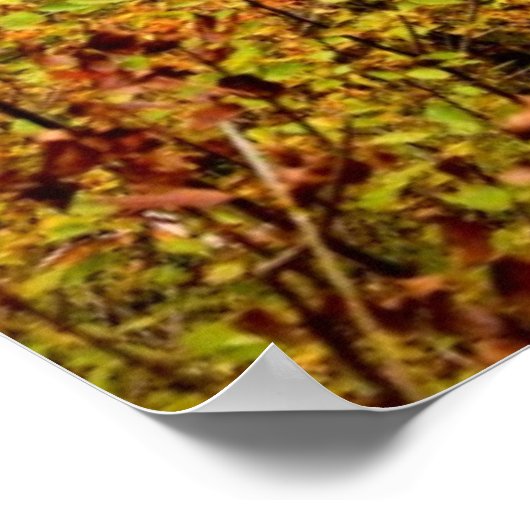 秋の滝 ポスター (角)