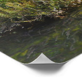 秋の滝 ポスター (角)