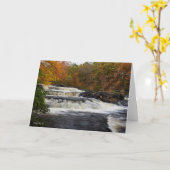 秋の滝(2) カード (黄色い花)
