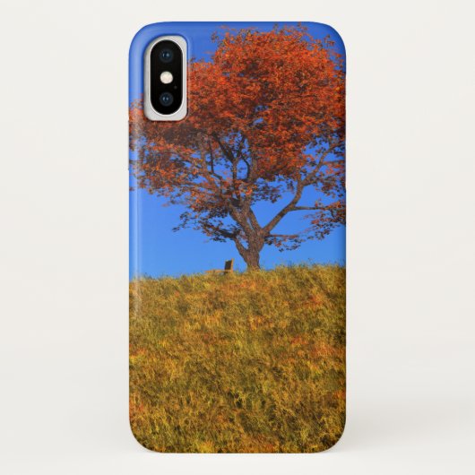 秋の澄ん日iPhoneケースメイト Case-Mate iPhoneケース (裏面)