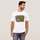 秋の激流の滝 Tシャツ (正面フル)