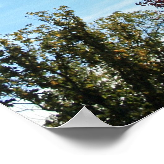 秋の灯 ポスター (角)