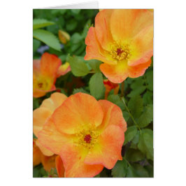 秋の炎のバラカード