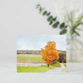 秋の牧場 ポストカード (スタンド正面)