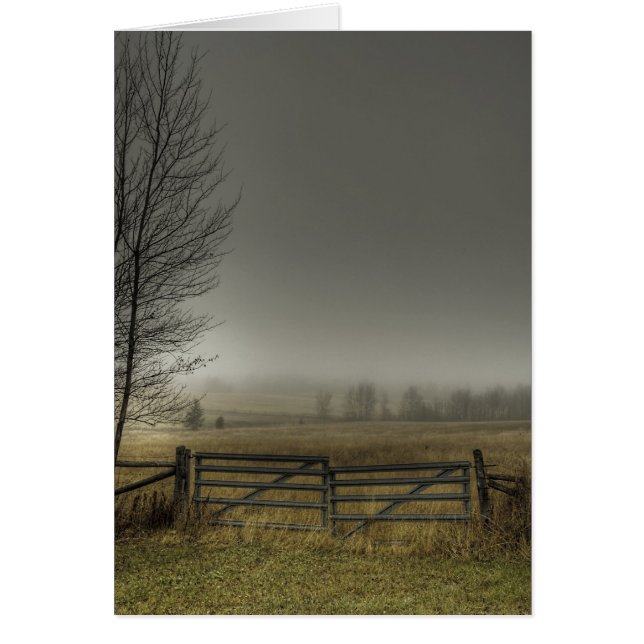 秋の牧草地 (正面)