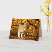 秋の猫グリーティングカード カード (黄色い花)