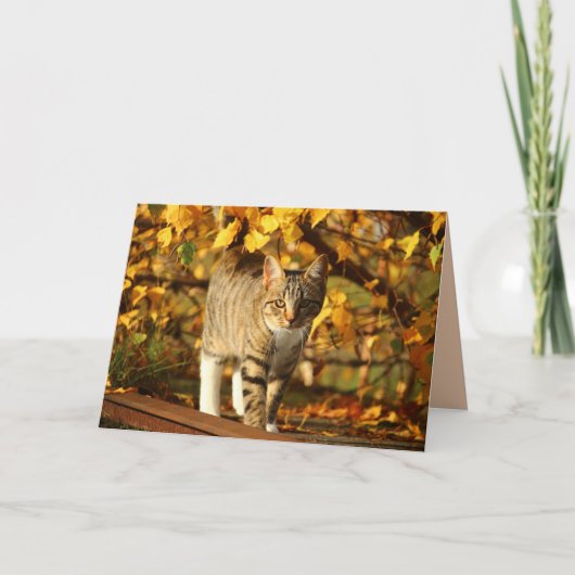 秋の猫グリーティングカード カード (正面)