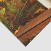 秋の猫ティッシュペーパー 薄葉紙 (詳細)