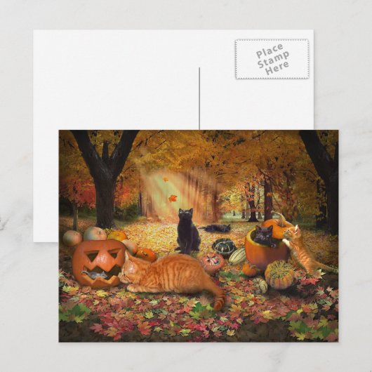 秋の猫 ポストカード (正面/裏面)