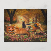 秋の猫 ポストカード (正面)