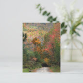 秋の田舎道 ポストカード (スタンド正面)