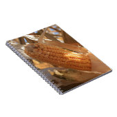 秋の畑のトウモロコシの茎 ノートブック (右側)