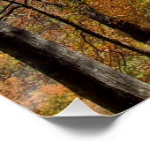 秋の登山林の葉 ポスター (コーナー)