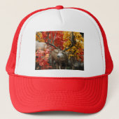 秋の白い尾 キャップ (正面)